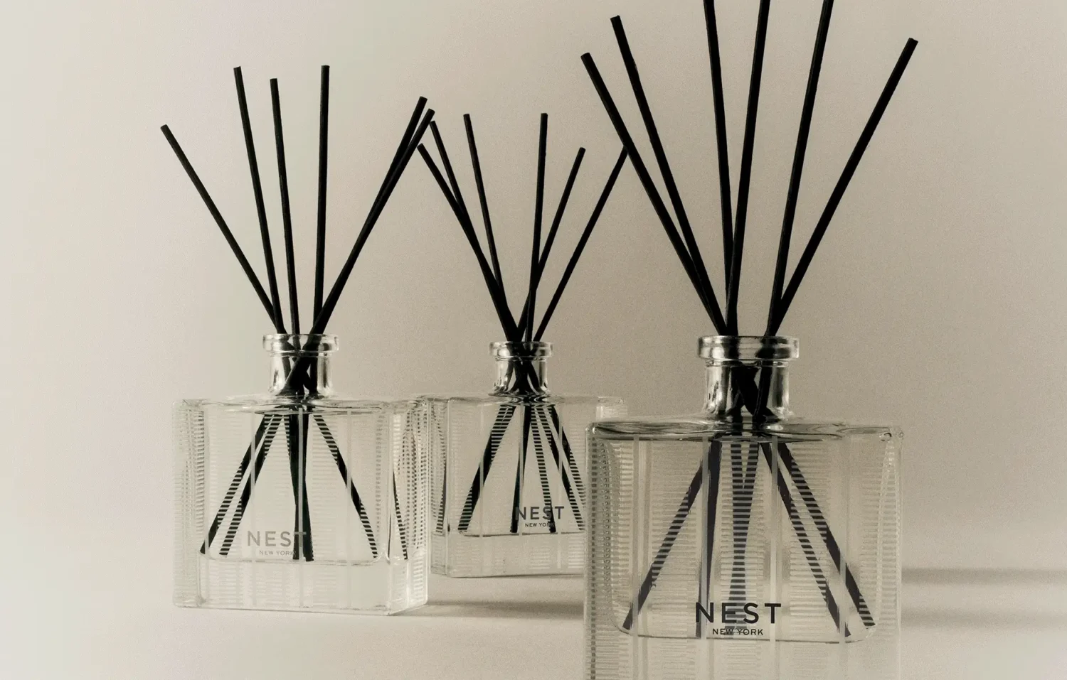 Wyllo and Nest New York