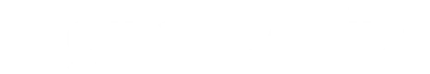 digital genius and wyllo